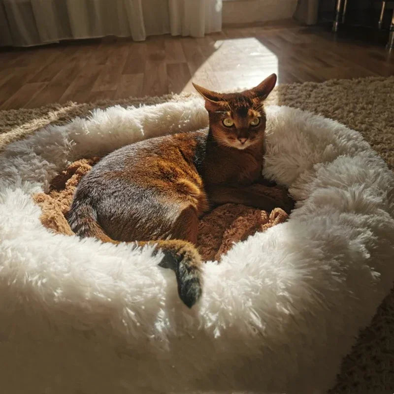 Calming Plush Pet Bed